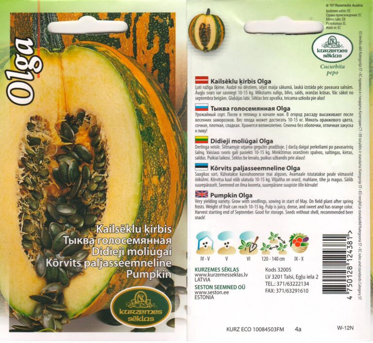 Bare-seeded pumpkin "Olga" KURZEMES SĒKLAS 1 g