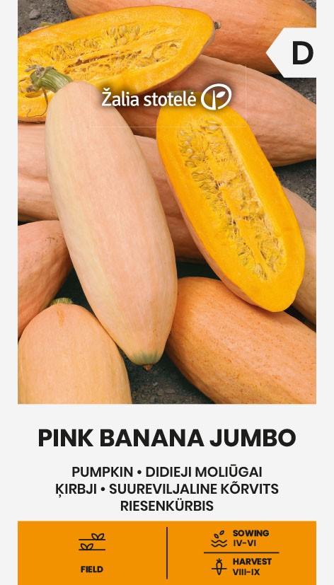 Stambiavaisis moliūgas "Pink Banana Jumbo" Žalia stotele 2 g