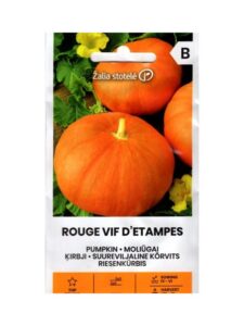 Lielaugļu ķirbis "Rouge Vif D'Etampes" Žalia stotele 2 g