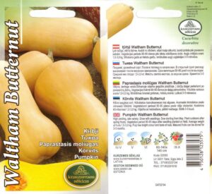 Ķirbis "Waltham Butternut" KURZEMES SĒKLAS 2 g