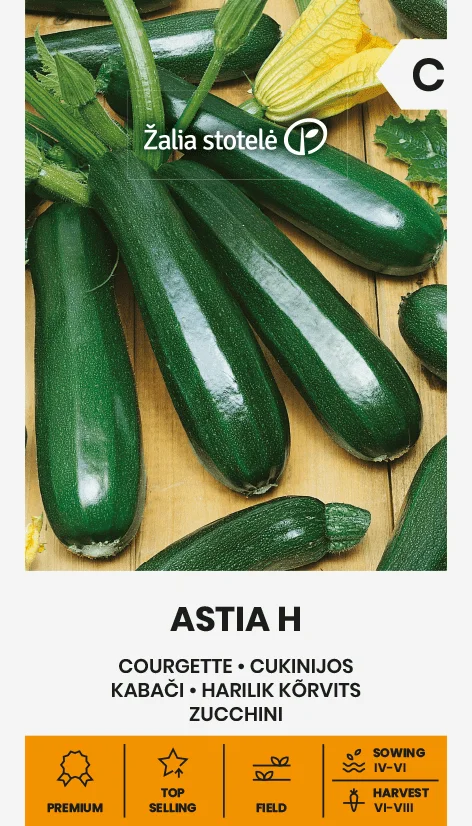 Семена тыквы "Astia H" AGRONOM 5 штук.