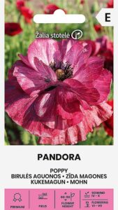 Kukemagun "Pandora" Žalia stotele 0,2 g