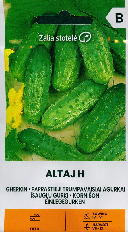 Огурец корнишон "Altaj H" F1, 2 г, Žalia stotelė
