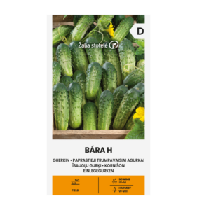 Kurk "Bara H" Žalia stotele 0,5 g