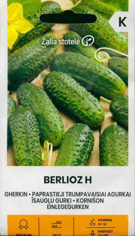 Огурец-корнишон "Berlioz H" Žalia stotele 0,5 г