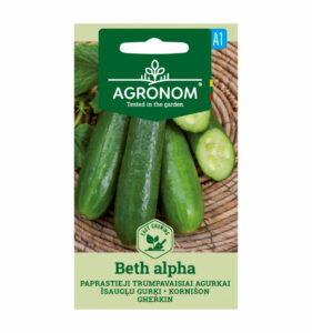 Kurk "Beth Alpha" AGRONOM 1 g