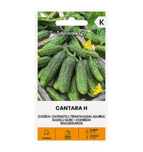 Kurk kornišon "Cantara H" Žalia stotele 0,4 g