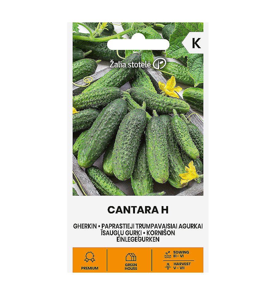 Cucumber gherkin "Cantara H" Žalia stotele 0.4 g