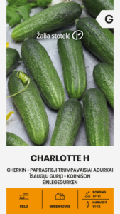 Kurk kornišon "Charlotte H" Žalia stotele 1,5 g