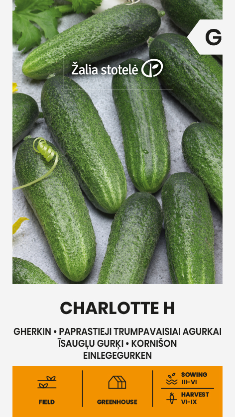Огурец-корнишон "Charlotte H" Žalia stotele 1,5 г