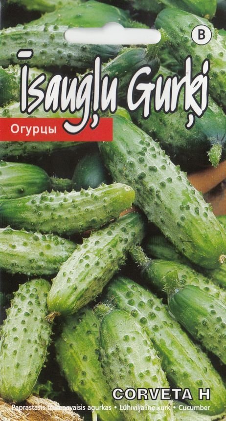 Огурец "Corveta H" KURZEMES SĒKLAS 1 г