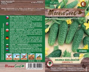 Kurk "Corveta F1" Moravo Seed 40 s.