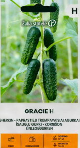 Kurk kornišon "Gracie H" Žalia stotele 0,5 g