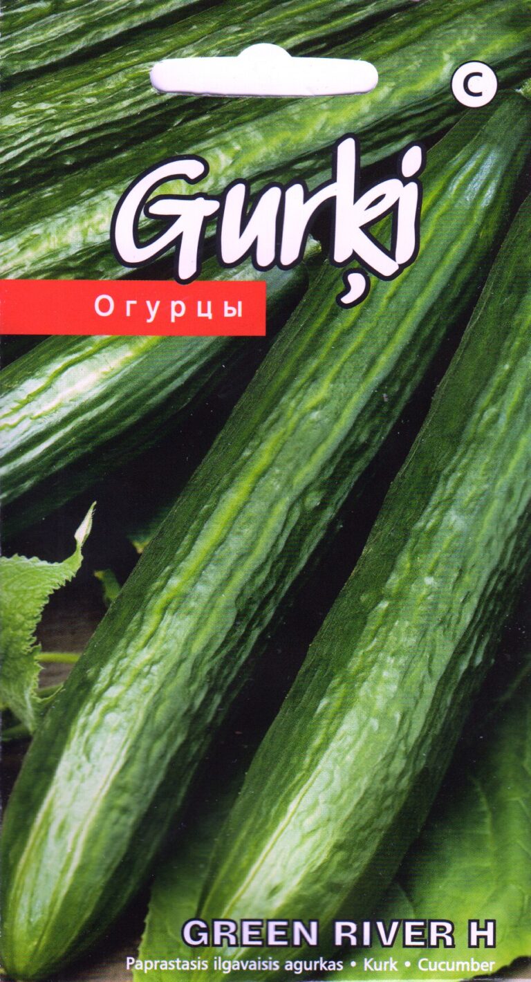 Kurk "Green River H" KURZEMES SĒKLAS 10 s.