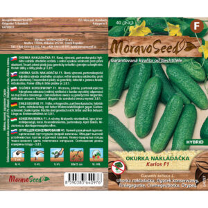 Kurk "Karlos F1" Moravo Seed 35 s.