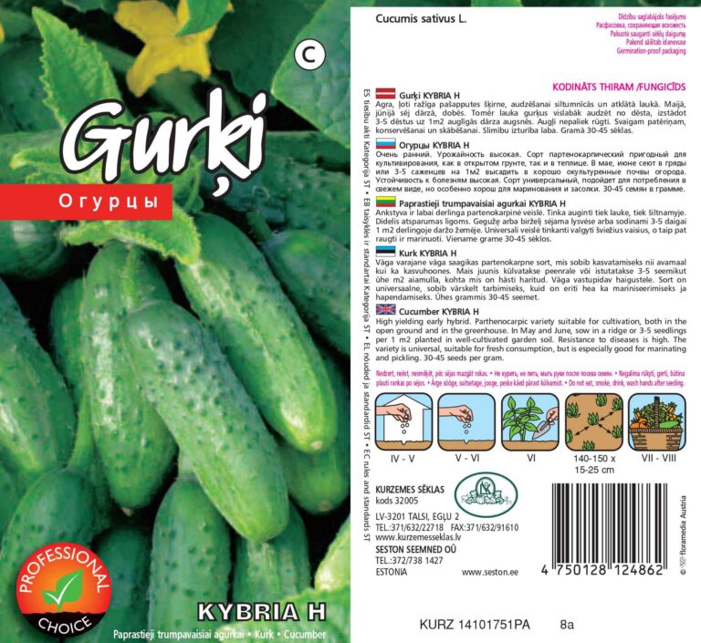 Kurk "Kybria H" KURZEMES SĒKLAS 15 s.