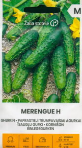 Kurk kornišon "Merengue H" Žalia stotele 0,5 g