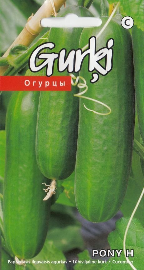 Огурец "Pony H" KURZEMES SĒKLAS 10 семян