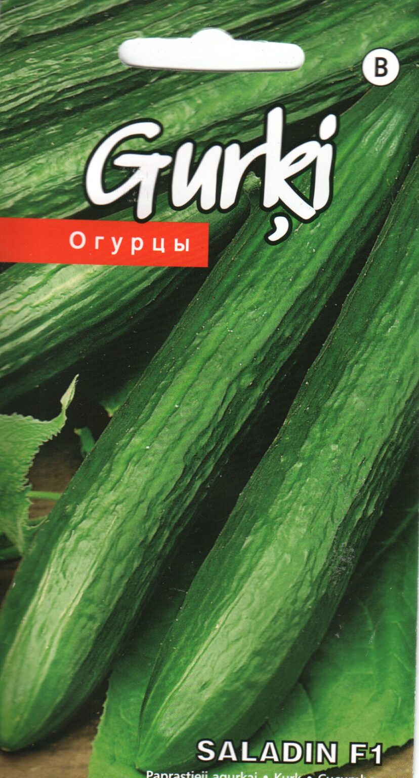 Cucumber "Saladin H" KURZEMES SĒKLAS 10 seeds