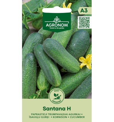 Kurk kornišon "Santana H" AGRONOM 0,5 g