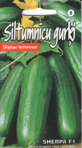 Kurk "Sherpa F1" KURZEMES SĒKLAS 8 s.