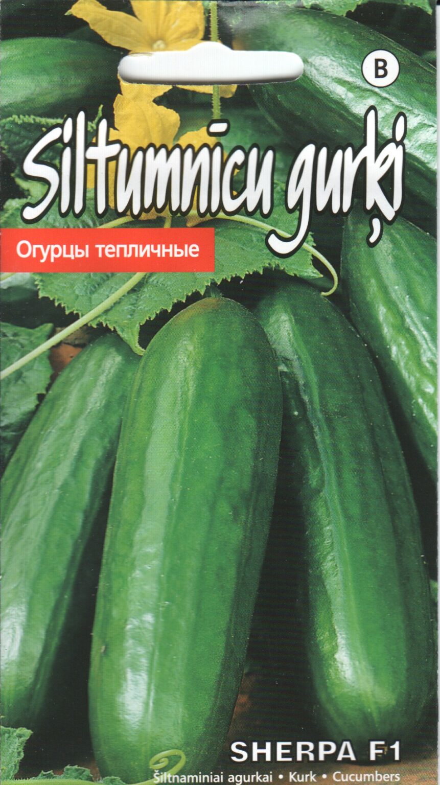 Cucumber "Sherpa F1" KURZEMES SĒKLAS 8 seeds