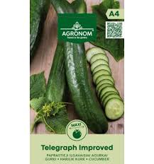 Kurk "Telegraph Improved" AGRONOM 3 g