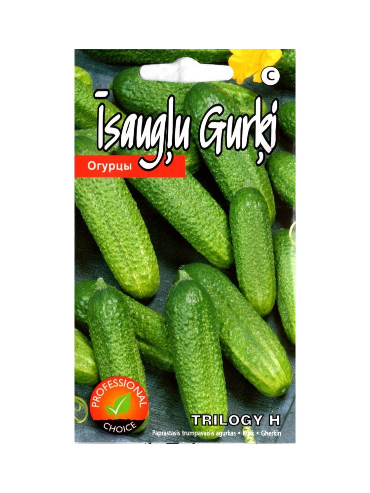 Kurkku "Trilogy H" KURZEMES SĒKLAS 15 siementä