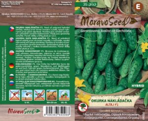 Kurk "Altaj F1" Moravo Seed 35 s.