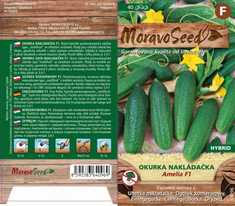 Kurk "Amelia F1" Moravo Seed 1,3 g