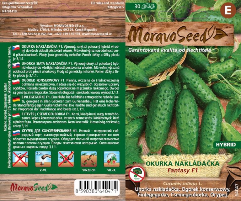 Kurk "Fantasy F1" Moravo Seed 30 s.