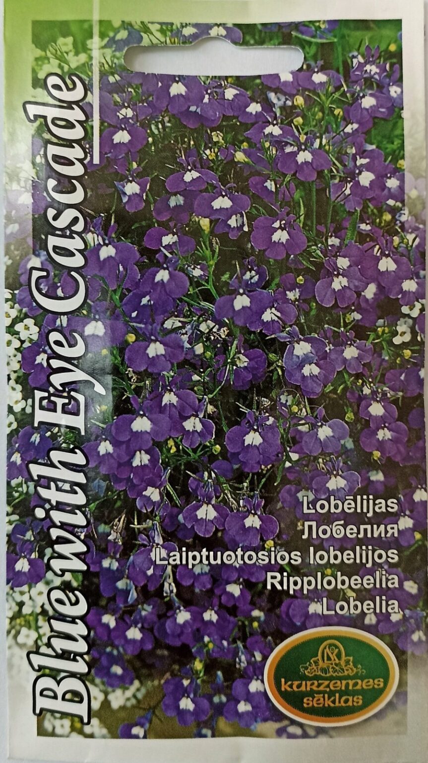 Nokarenā lobēlija "Blue with Eye Cascade" KURZEMES SĒKLAS 0,1 g