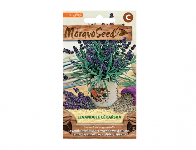 Siauralapė levanda Moravo Seed 0,3 g