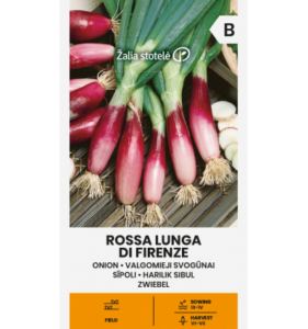 Red onion ROSSA LUNGA DI FIRENZE Žalia stotele 2 g