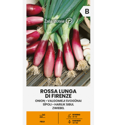Red onion ROSSA LUNGA DI FIRENZE Žalia stotele 2 g