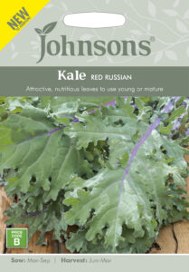 Kale "Red Russian" Johnsons 400 s.