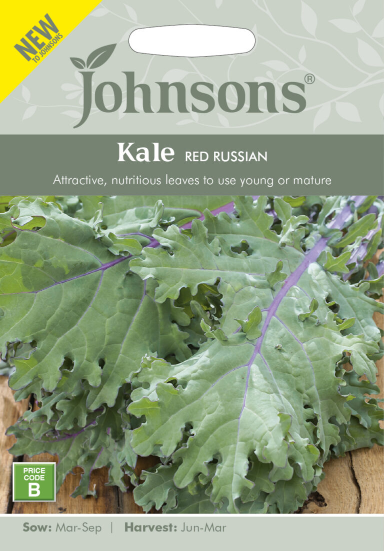 Kale "Red Russian" Johnsons 400 s.