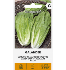 Aedsalat "Galander" Žalia stotele 1 g