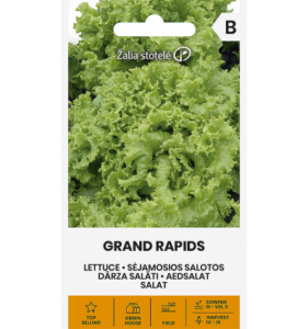 Aedsalat "Grand Rapids" Žalia stotele 2 g