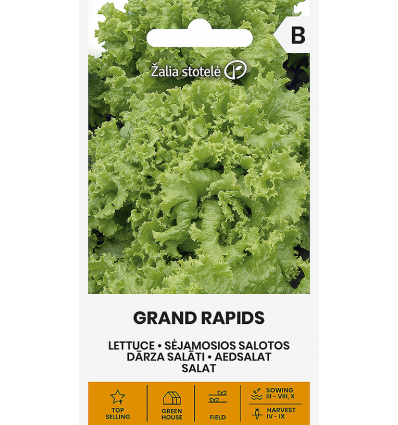 Dārza salāti "Grand Rapids" Žalia stotele 2 g