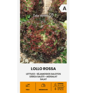 Aedsalat "Lollo Rossa" Žalia stotele 1g