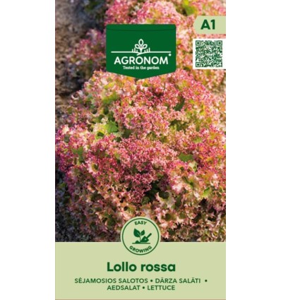 Салат "Lollo rossa", 1 г, AGRONOM