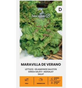 Aedsalat "Maravilla de verano" 1g Žalia stotele