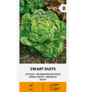 Aedsalat "Zwart Duits" 2g Žalia stotele