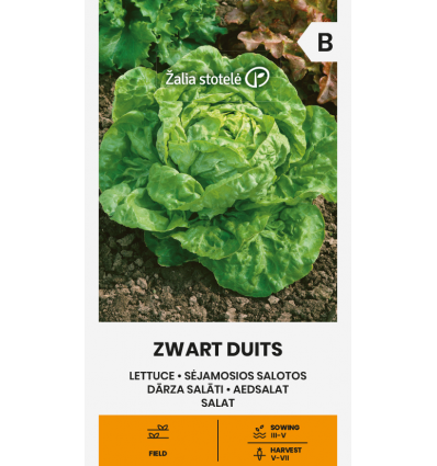 Dārza salāti "Zwart Duits" 2g Žalia stotele