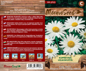 Suureõieline härjasilm "Big Sister" Moravo Seed 0,35 g