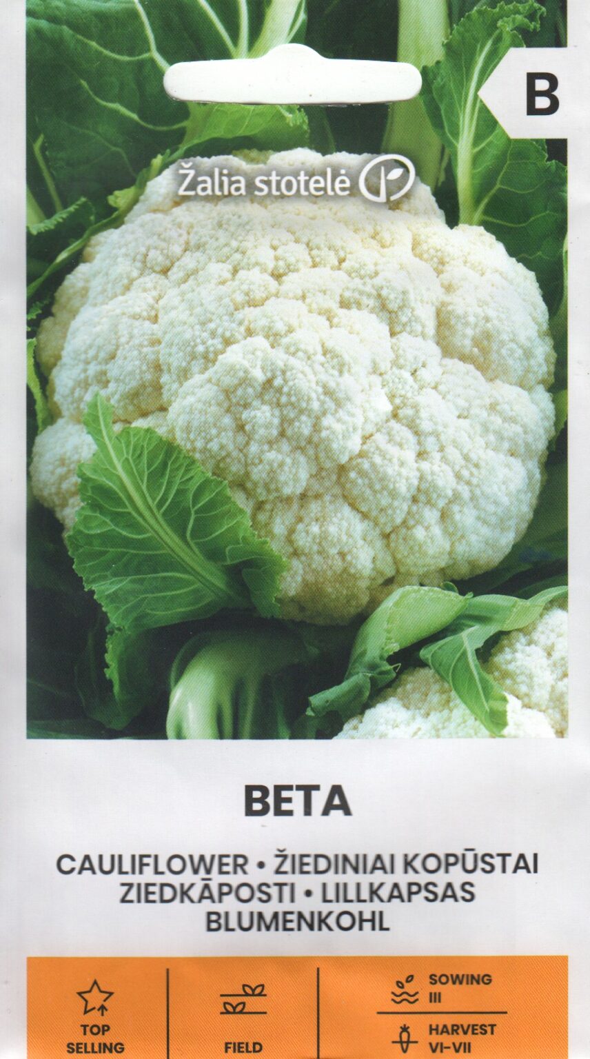 Ziedkāposti "Beta" Žalia stotele 1 g
