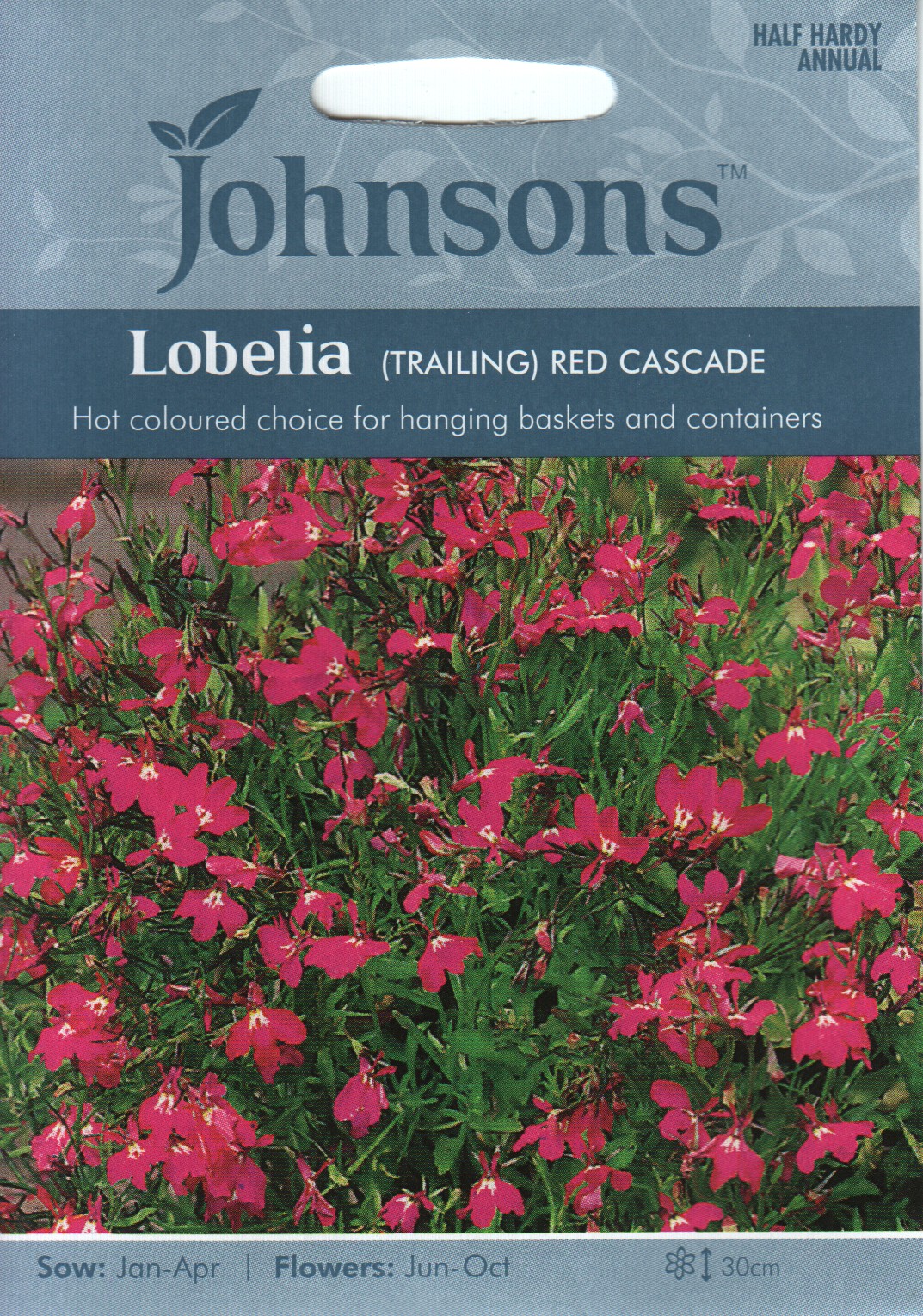 Lobelia "Red Cascade" Johnsons 1500 seeds