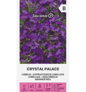 Lobelia erinus "Crystal Palace" Žalia stotele 0,1 g