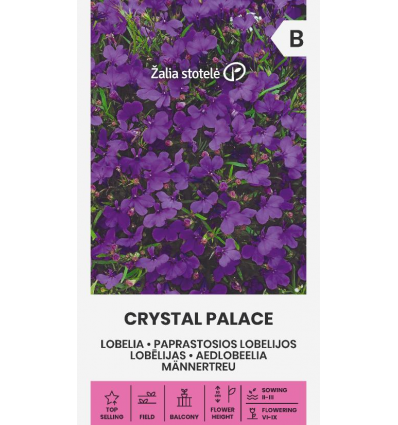 Lobelia erinus "Crystal Palace" Žalia stotele 0,1g